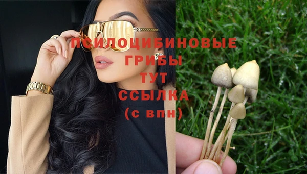гашик Беломорск